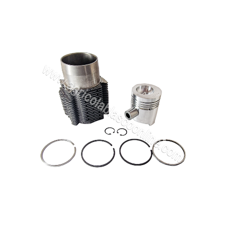 Kit cilindro piston motor Diter D302,  Agria 9900, 9945