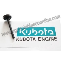 Valvula escape motor Kubota V2203