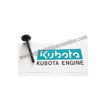 Valvula admision motor Kubota V2203