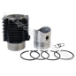 Kit cilindro piston para motores Lombardini LDA96, LDA97, 4LD640