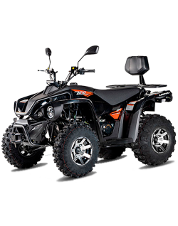 Linhai ATV Z210 2x4 Motor 4T 177cc Quad