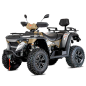 Linhai ATV LH 565 EPS 4x4 Motor 4T 499cc Quad