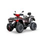 Linhai ATV LH 565 EPS 4x4 Motor 4T 499cc Quad