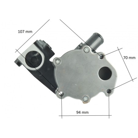 Bomba agua YANMAR THERMOKING