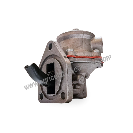 Bomba combustible motor Diter D302 / 2,  Agria 9900, 9945