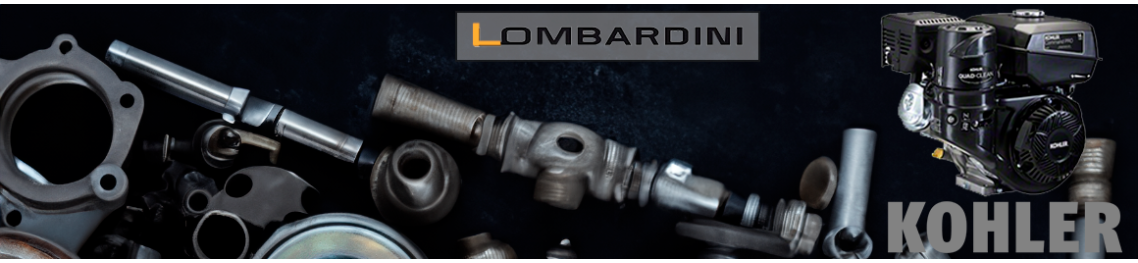 Filtros y recambios motores Lombardini Kohler